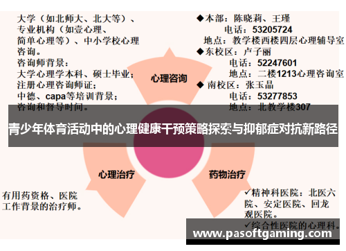 青少年体育活动中的心理健康干预策略探索与抑郁症对抗新路径 青少年体育活动中的心理健康干预策略探索与抑郁症对抗新路径