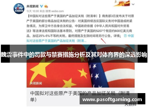 魏震事件中的罚款与禁赛措施分析及其对体育界的深远影响 魏震事件中的罚款与禁赛措施分析及其对体育界的深远影响