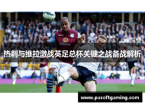 热刺与维拉激战英足总杯关键之战备战解析