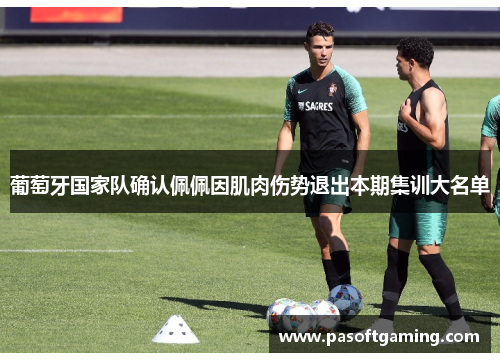 葡萄牙国家队确认佩佩因肌肉伤势退出本期集训大名单