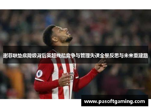 谢菲联垫底降级背后英超残酷竞争与管理失误全景反思与未来重建路