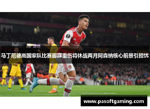 马丁厄德高国家队比赛脚踝重伤将休战两月阿森纳核心前景引担忧